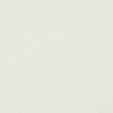 100 white