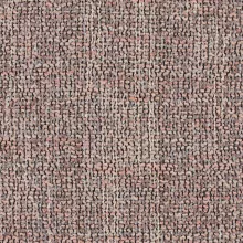 520 english rose Brutus 520 english rose Brutus