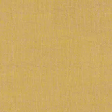 310 buttercup Demi 310 buttercup Demi