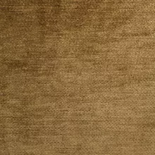 20 Buttersctotch Troy